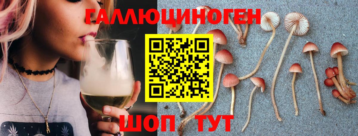 Псилоцибиновые грибы ЛСД  Псилоцибиновые грибы Cubensis  цены наркотик  Вход с VPN  Миллерово 
